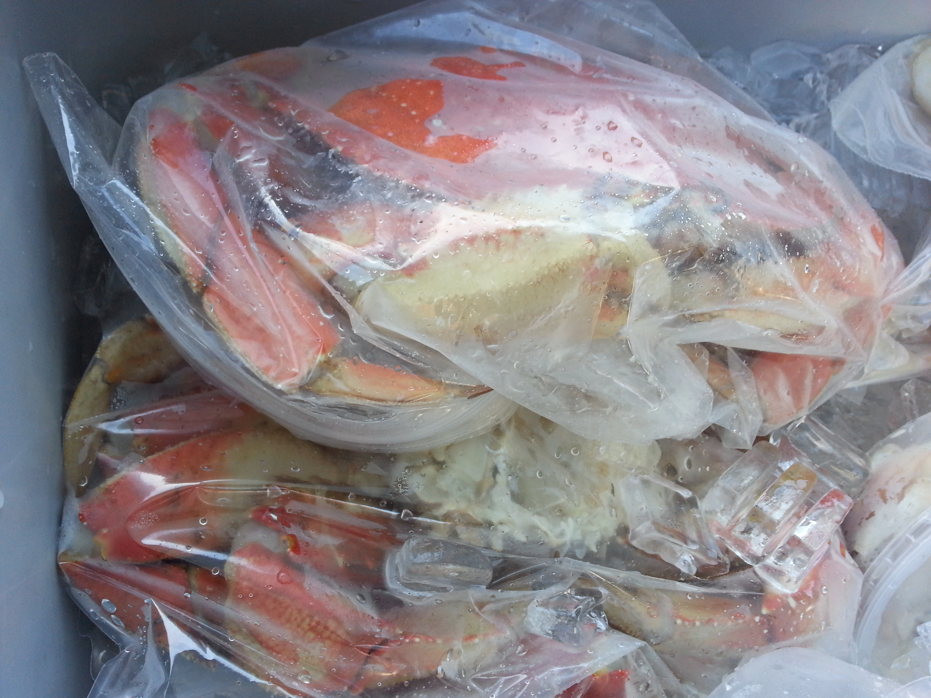 Fresh Crab, Salmon and more from Wild Oregon this Saturday.