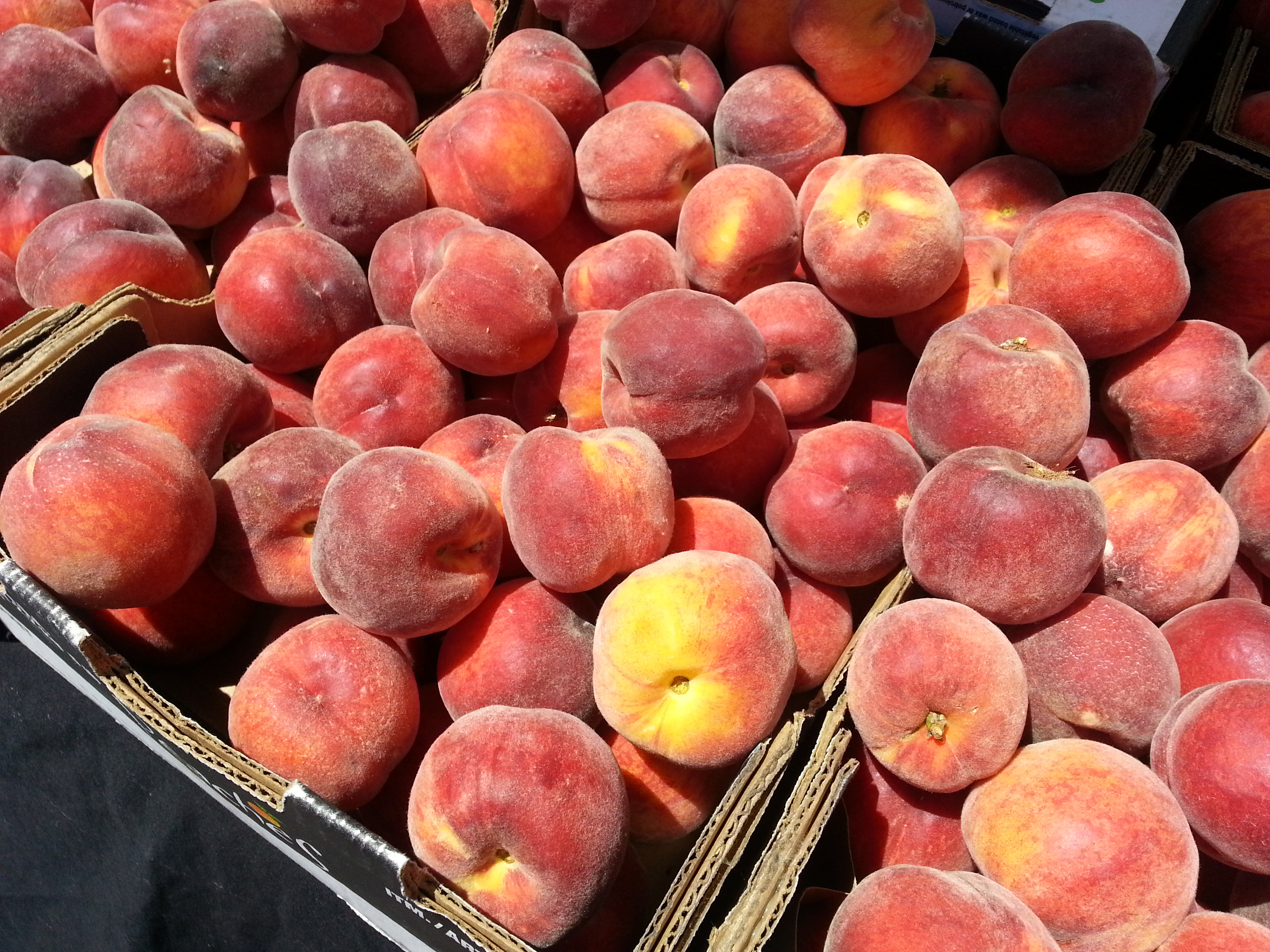 The first Peaches from Maryhill Orchards this week!