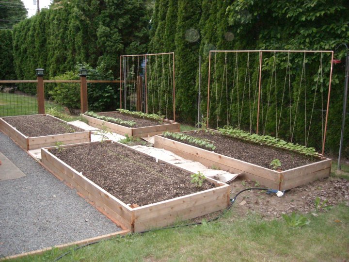 You want raised beds? Independence Gardens can build for you!