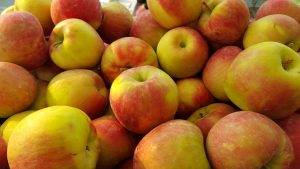 Zestar Apples coming from Kiyokawa Orchards.